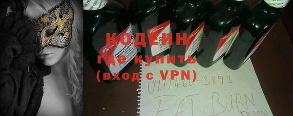 гашик Заречный