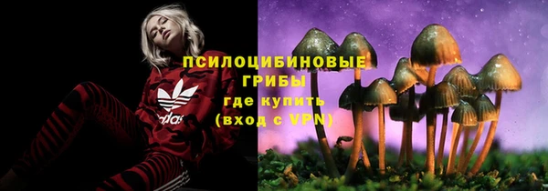 гашик Аркадак