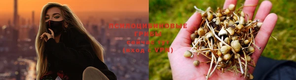стафф Арсеньев