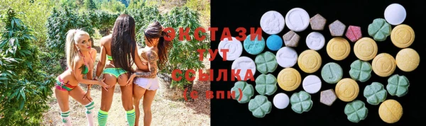 стафф Арсеньев