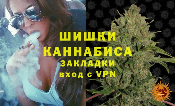 гашик Аркадак