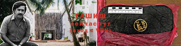 стафф Арсеньев