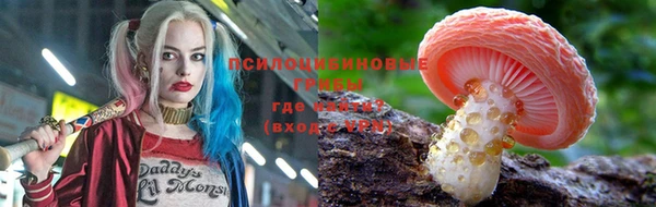 jwh Строитель