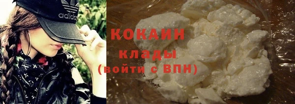 гашик Аркадак