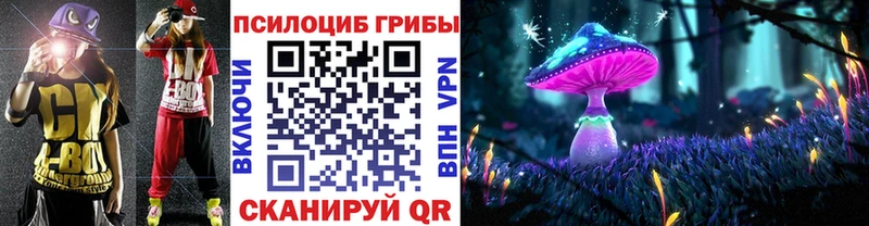 хочу наркоту  Артёмовск  Псилоцибиновые грибы Psilocybe 